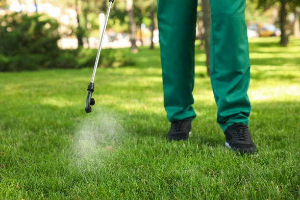 Best Rat Extermination Near Me  in Mlstadt, IL