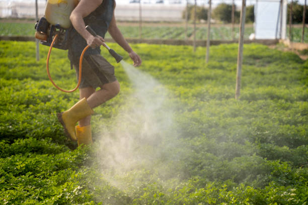 Best Pest Inspection Near Me  in Mlstadt, IL