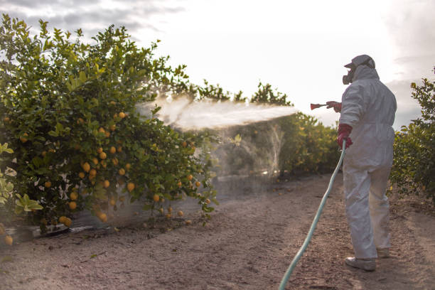 Reliable Millstadt, IL Pest Control Solutions