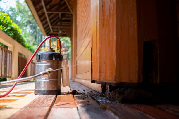Best Ant Control Services  in Mlstadt, IL