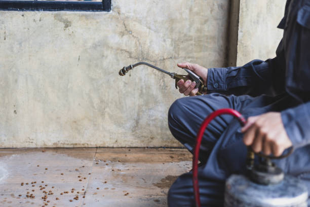 Best Best Pest Control Companies  in Mlstadt, IL